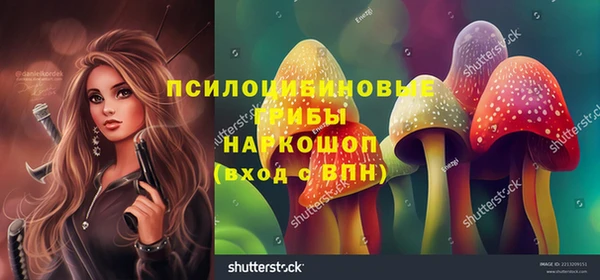 кокс Медвежьегорск