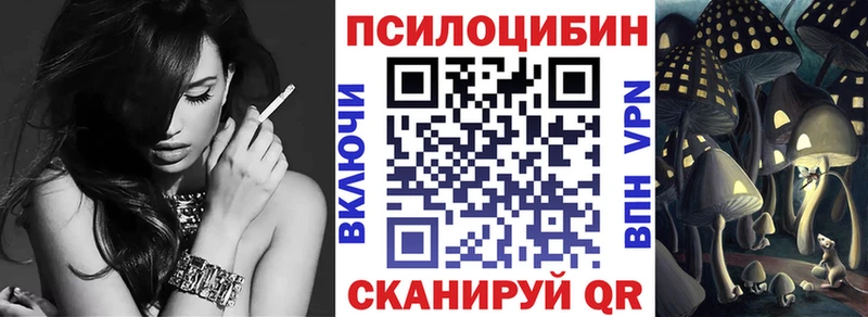 Галлюциногенные грибы Cubensis  Купить где  Шацк 